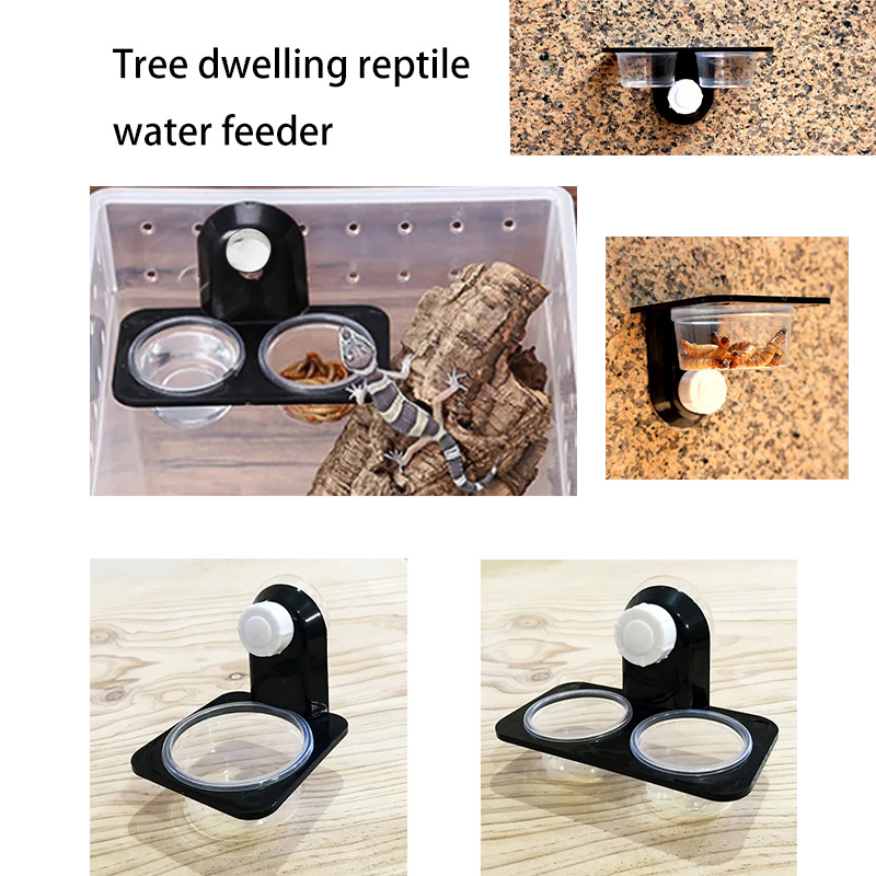 Water Dish Reptile - 파충류 탱크 액세서리 곤충 거미 개미