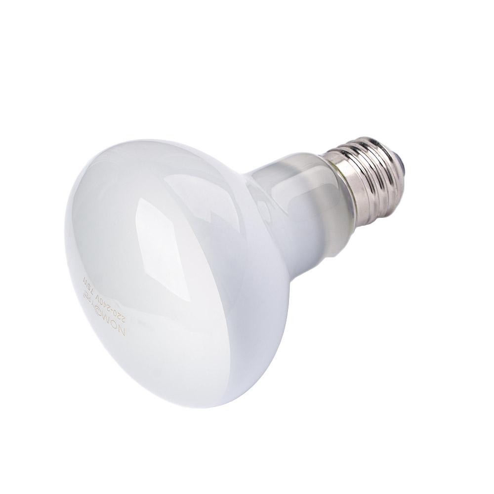 Basking Bulb Halogen - 거북이 히터 열 램프 파충류 바스킹