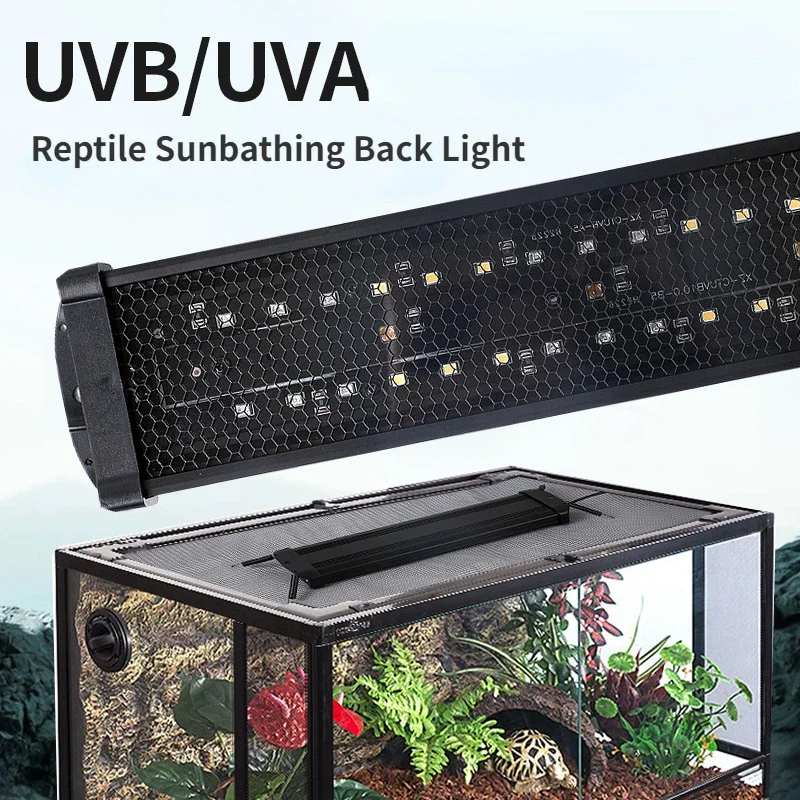 파충류 UVA + UVB 전체 스펙트럼 LED UV 램 - Calcium Powder Reptile 리뷰 및 가격
