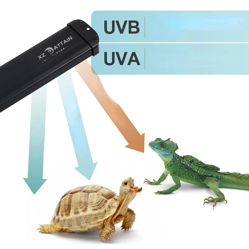 파충류 UVA + UVB 전체 스펙트럼 LED UV 램 - Calcium Powder Reptile 리뷰 및 가격