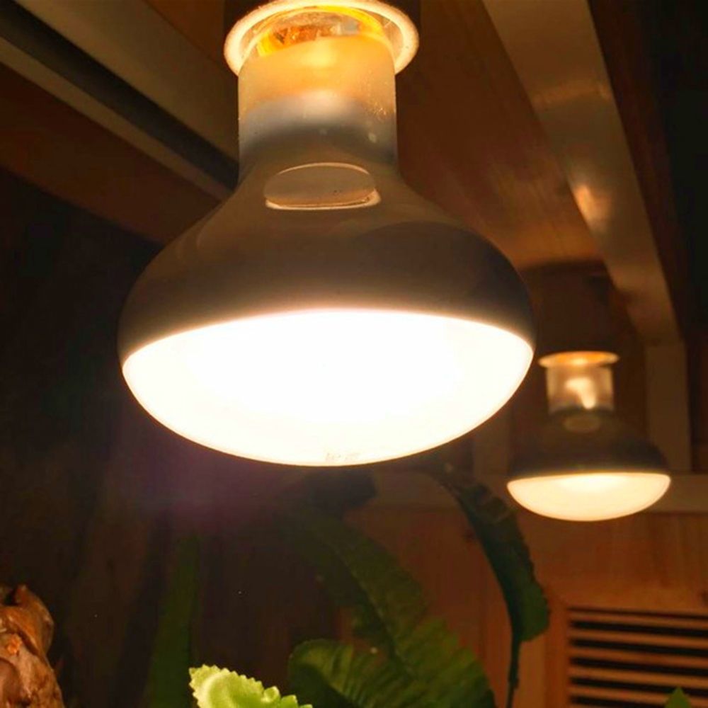 양서류 히터 열등 UVA 라이트 일광등 파충류 할로겐  - Basking Bulb Halogen 리뷰 및 가격
