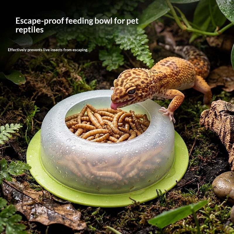 1Pc ABS 파충류 먹이 접시 탈출 방지 디자인 웜  - Water Dish Reptile 리뷰 및 가격