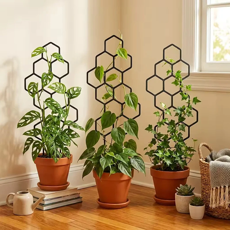 2/4개 벌집 모양 식물 지지대, 화분에 심은 덩굴식물 - Vine Climbing Plastic 리뷰 및 가격