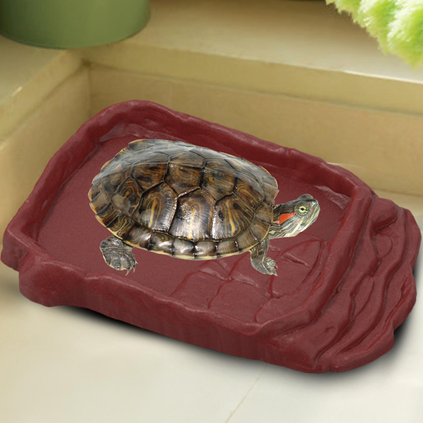 거북이 욕조 물통 미끄럼 방지 사다리 파충류 그릇 파충 - Water Dish Reptile 리뷰 및 가격
