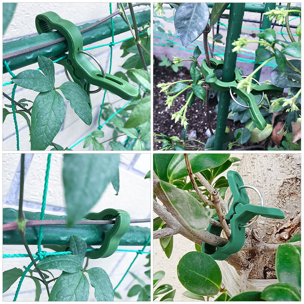60개입 플라스틱 식물 지지대 클립, 토마토, 포도,  - Vine Climbing Plastic 리뷰 및 가격